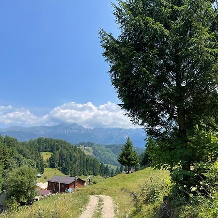 Villa Andolia Moeciu De Sus Esterno foto