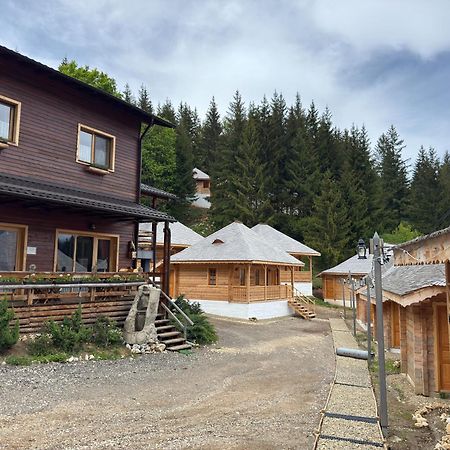 Villa Andolia Moeciu De Sus Esterno foto