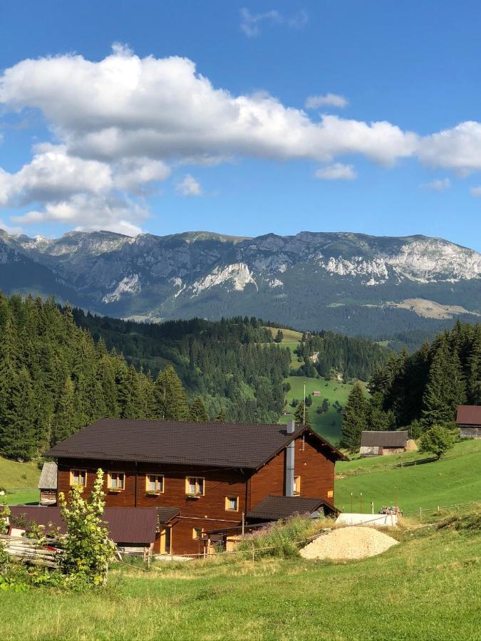 Villa Andolia Moeciu De Sus Esterno foto