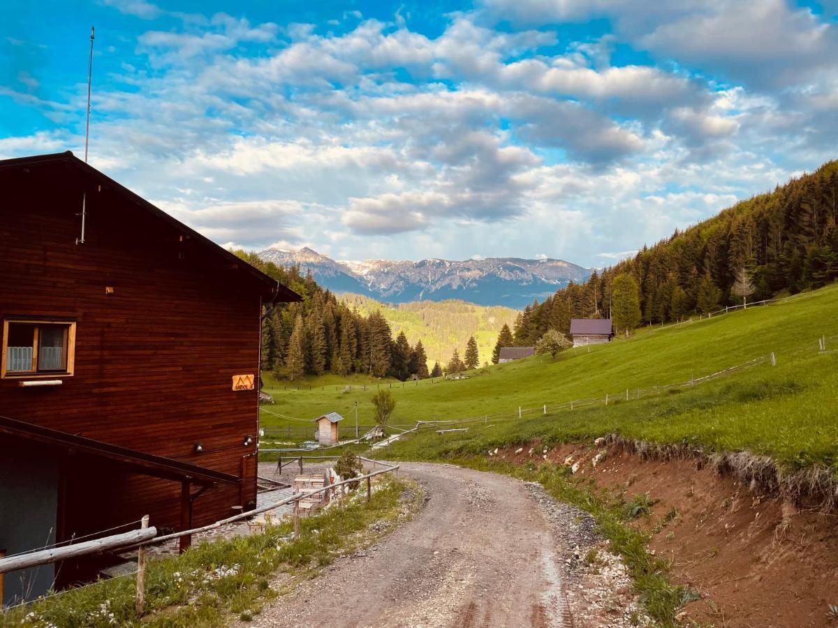 Villa Andolia Moeciu De Sus Esterno foto