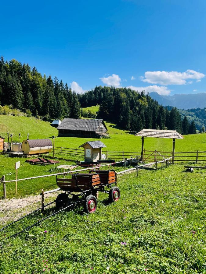 Villa Andolia Moeciu De Sus Esterno foto