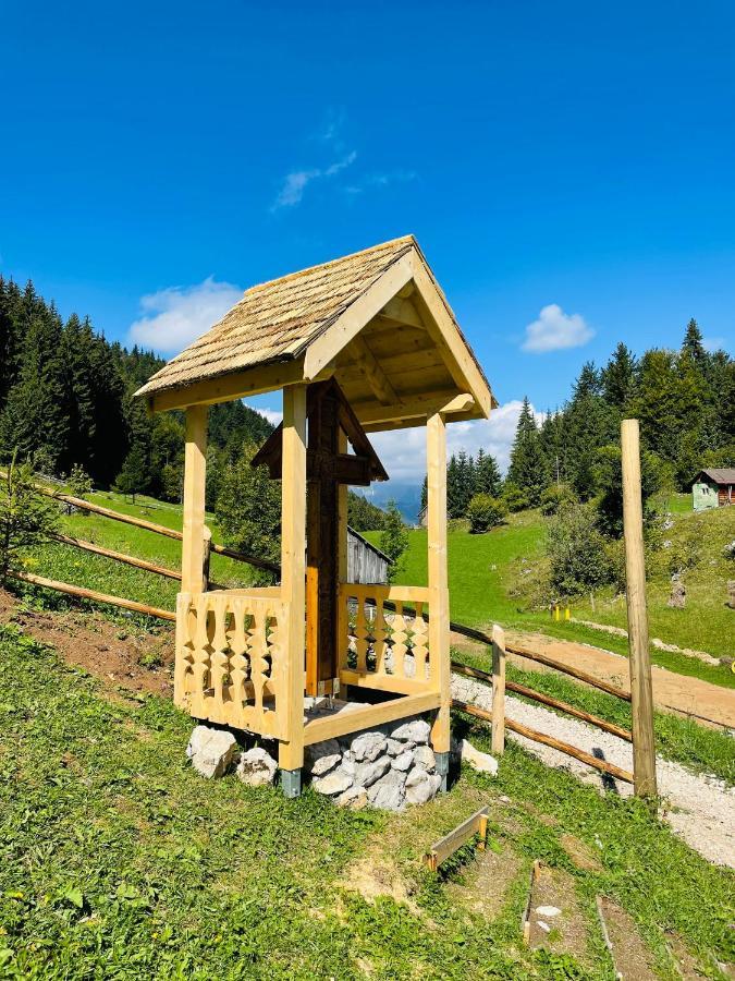 Villa Andolia Moeciu De Sus Esterno foto