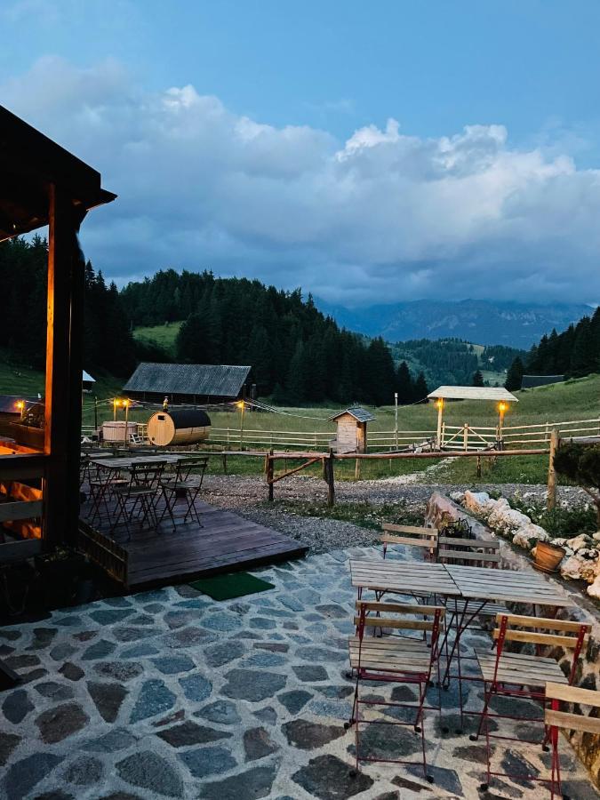 Villa Andolia Moeciu De Sus Esterno foto