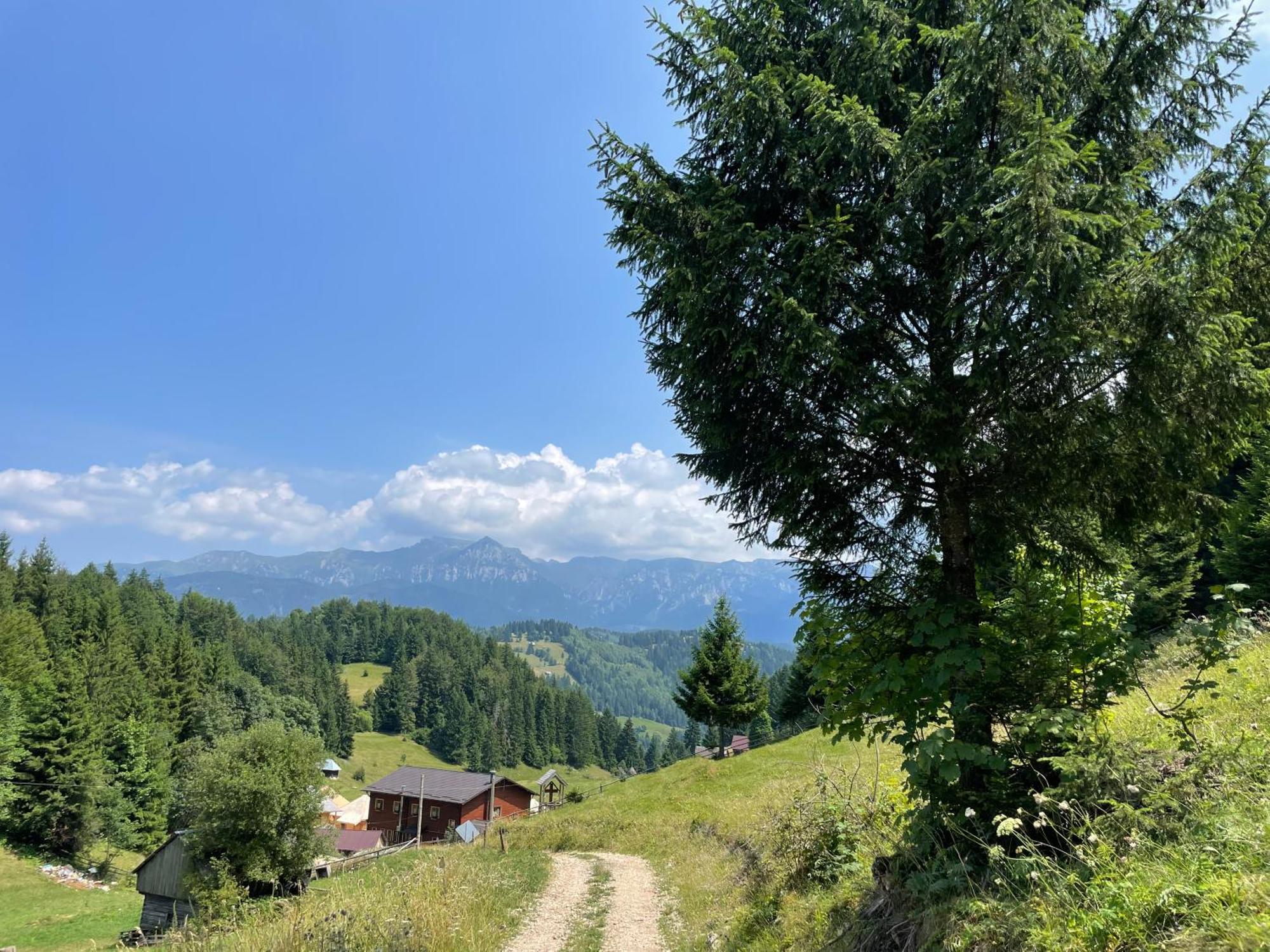 Villa Andolia Moeciu De Sus Esterno foto