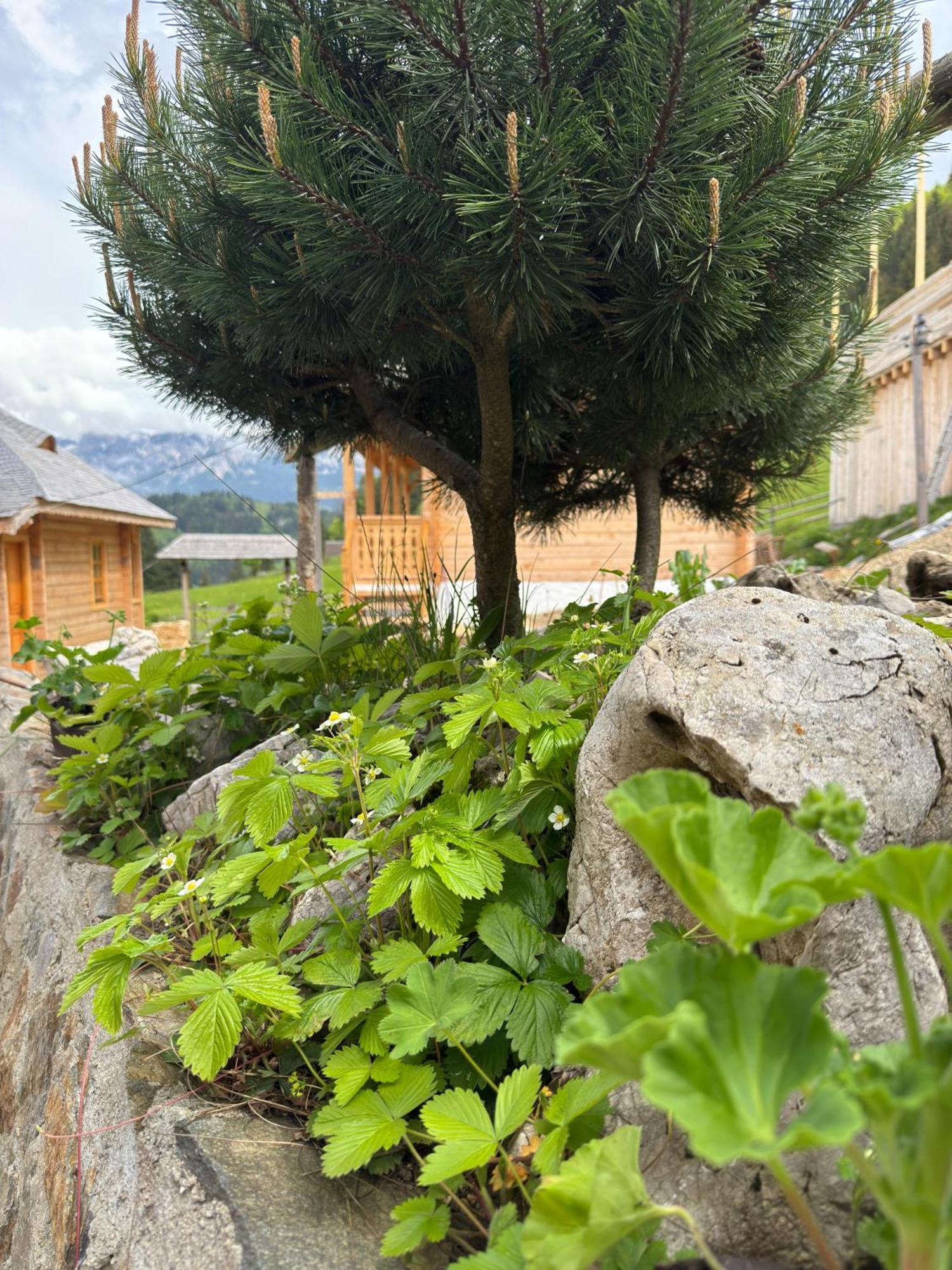 Villa Andolia Moeciu De Sus Esterno foto
